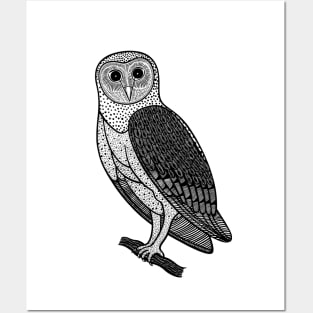 Barn Owl - hand drawn nocturnal bird design Posters and Art